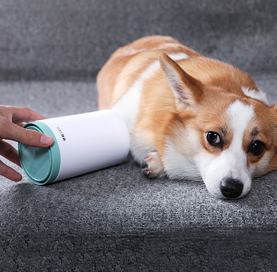 Goodmate Mud-Off Paw Cleaner